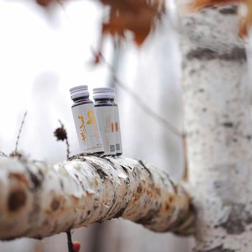 10倍浓缩白桦树汁8支/盒共2盒16支应酬必备神器 商品图0