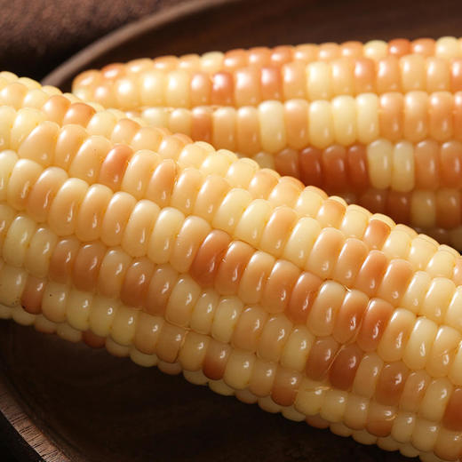 【糯玉米也可以甜甜的！】云南小花糯玉米软糯鲜甜3分钟搞定早餐健康主食 商品图2