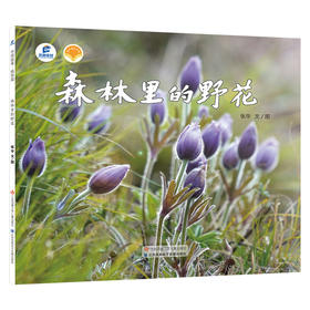 3-8岁+ 森林里的野花 绘本里的中国·植物篇