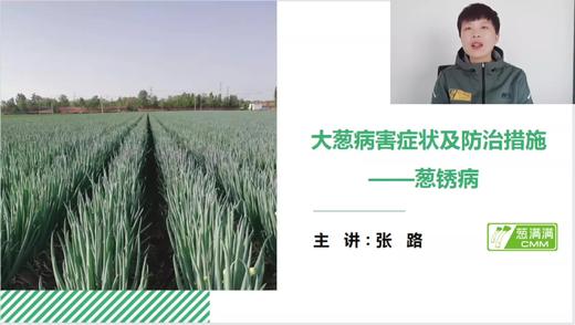 大葱病害防治——葱锈病 商品图0