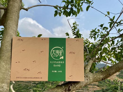 秋茶 金萱绿茶（金尊）240g 商品图0