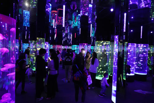 【优惠票】浩海立方海洋公园 商品图1