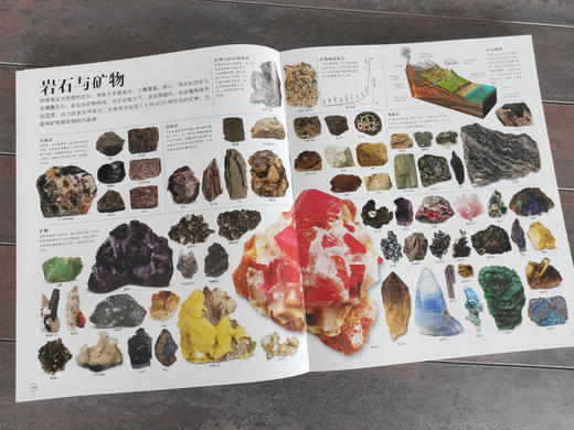 【精装】DK万物大百科+DK知识大百科（全2册 ）3岁+ 3D和剖面效果跨页大图 是DK史上超大规模的一次百科盛宴 商品图5