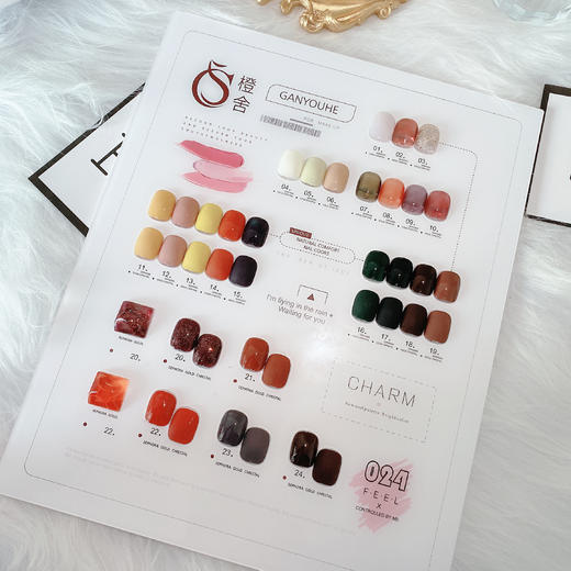 CS复古摩登栗棕24色套系（秒杀） 商品图1