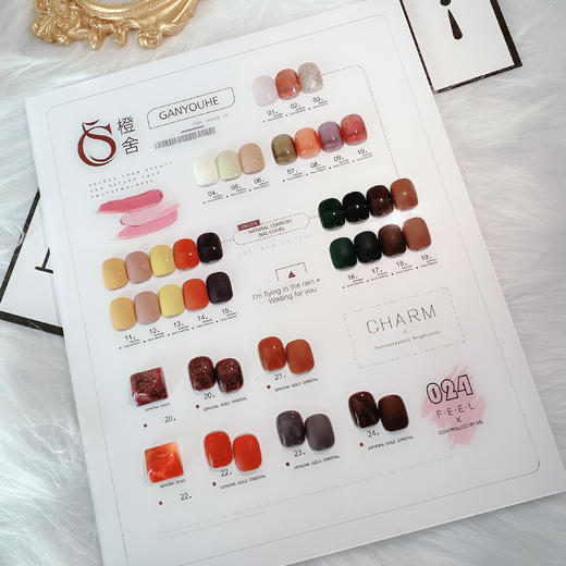 CS复古摩登栗棕24色套系（秒杀） 商品图0