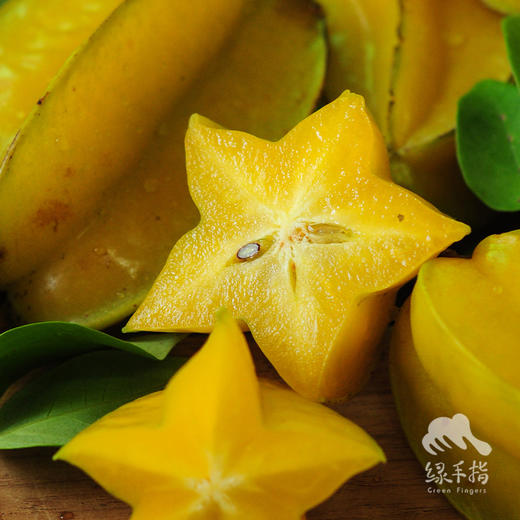 生态杨桃 | 绿家自产* Eco-carambola | Self-production 商品图1