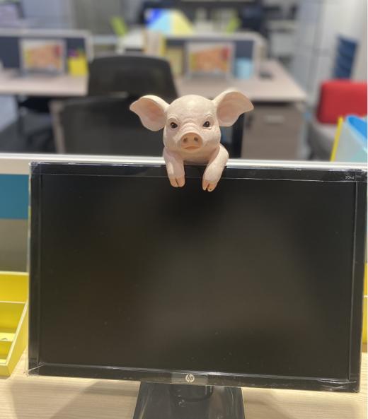 小猪树脂摆饰/P82020 商品图1