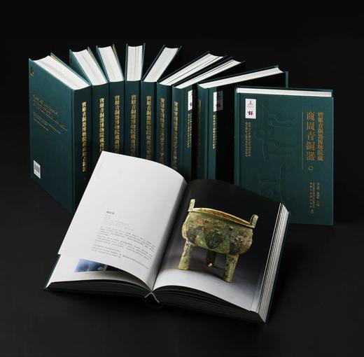 《宝鸡青铜器博物院藏商周青铜器》（全十册），北京大学中国考古学研究中心宝鸡青铜器博物院 编著，徐天进 段德新 主编 商品图1