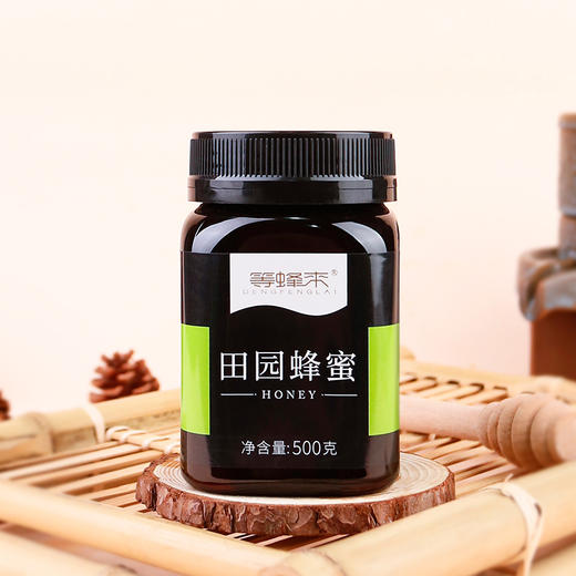 【田园蜜】等蜂来蜂蜜 金堂天然田园蜜500g家庭装，新旧两个包装不影响品质 商品图2