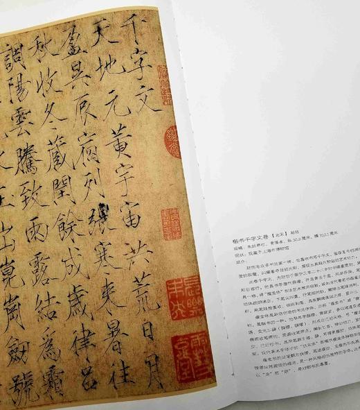 《国画大师：赵孟頫》《国画大师：赵佶》，赵孟頫、赵佶绘，大8开，实践经典编辑部编，中国广播电视大学出版社2014年版，两册定价416元，售价120元，非偏远地区包邮。 商品图11