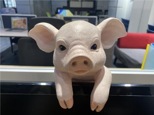小猪树脂摆饰/P82020 商品图0