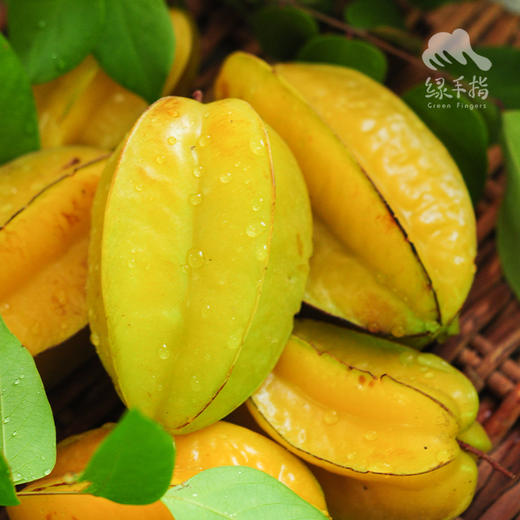 生态杨桃 | 绿家自产* Eco-carambola | Self-production 商品图3