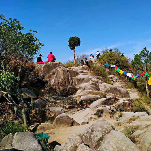 【元旦】1.1探寻藏在灵岩山顶的吴国宫殿遗址，漫步姑苏城外寒山寺（上海1天活动） 商品图2