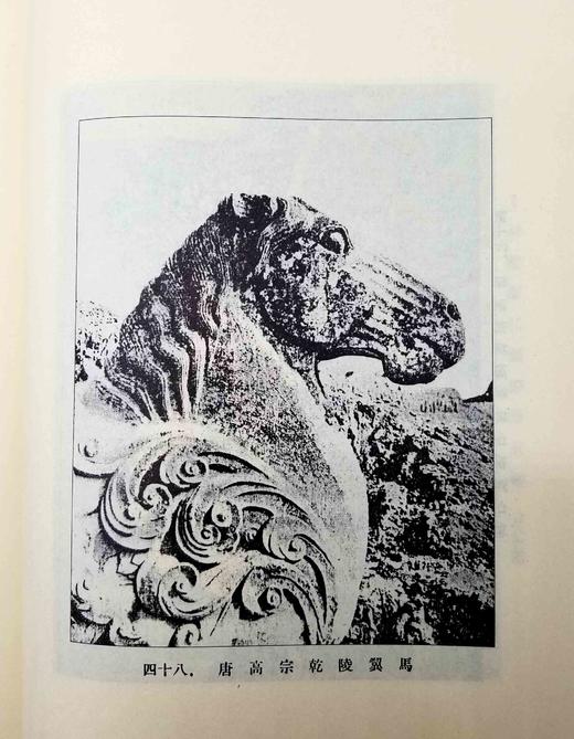 中国早期考古调查报告三种：《长安史迹考》《西京访古丛稿》《古物保管委员会工作汇报》，8开，精装，[日]足立喜六等著，线装书局2006年版，每册定价900元，售价180元。三册总售价528元。 商品图8