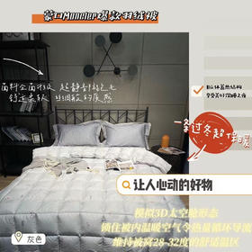 蒙田 羽绒被200*230cm