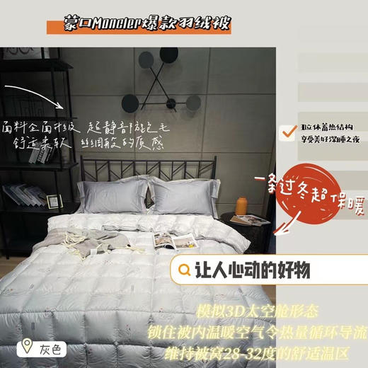 蒙田 羽绒被200*230cm 商品图0