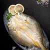 【团购】苏里南黄鱼鲞300g/袋【GA】 商品缩略图5