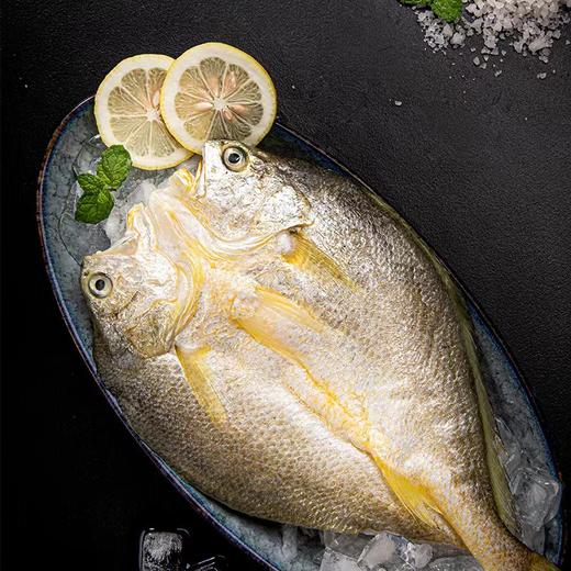 【团购】苏里南黄鱼鲞300g/袋【GA】 商品图5