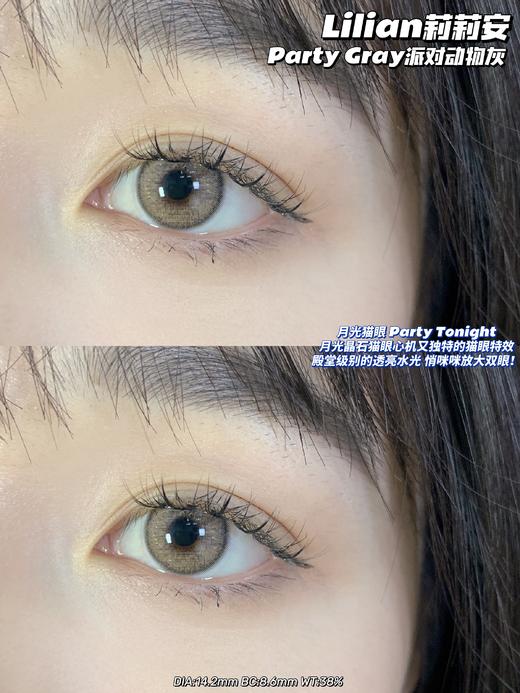 派对动物灰·Lilian莉莉安丨14.2mm（年抛/2片装） 商品图0