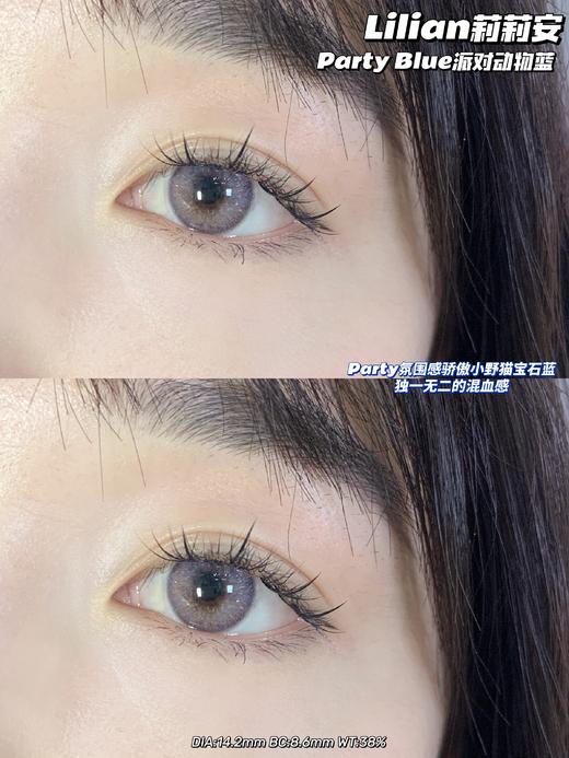 派对动物蓝紫·Lilian莉莉安丨14.2mm（年抛/2片装） 商品图0