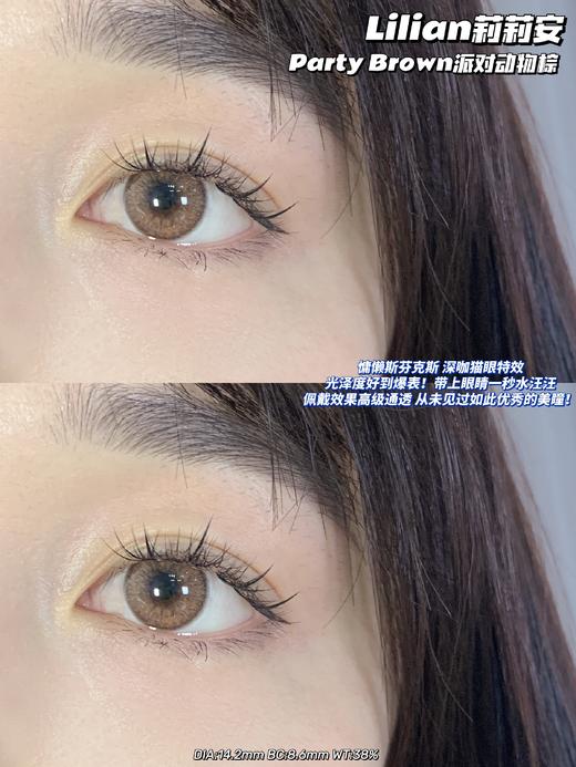 派对动物棕·Lilian莉莉安丨14.2mm（年抛/2片装） 商品图0