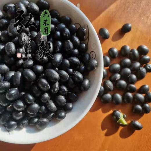 六不用 黑豆(绿心) 1斤/份 【弘毅六不用生态农场】 商品图1