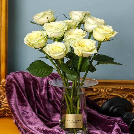 24h 玫瑰 绿巨人 10枝 花点心选