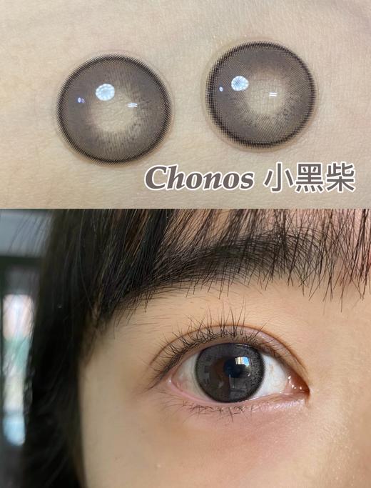 【日抛】小黑柴·Chonos丨14.2mm（日抛/一盒10片装） 商品图1