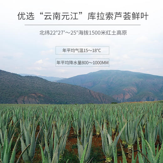 良田一亩芦荟冻干胶原肽眼精华露20g，眼部 商品图2