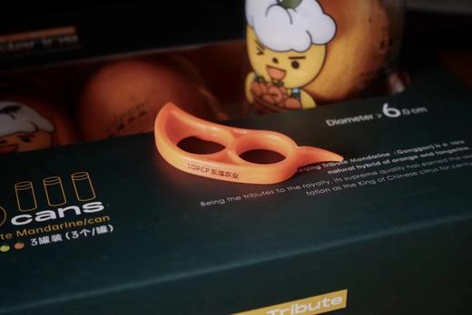 德庆贡柑   海外版【童趣3筒装】 商品图4