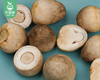 【叼鲜蔬】漳州新鲜草菇/1份（约200g） 商品缩略图2