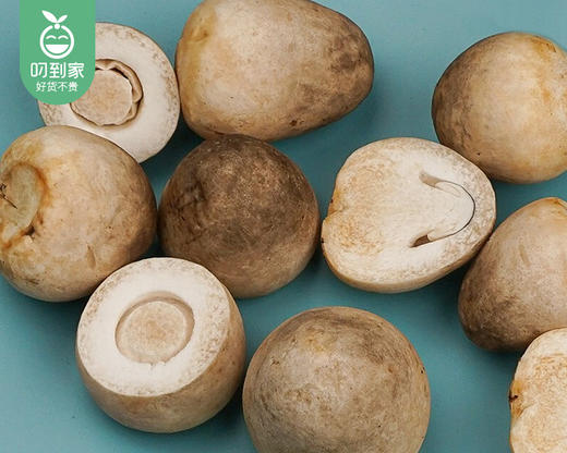 【叼鲜蔬】漳州新鲜草菇/1份（约200g） 商品图2