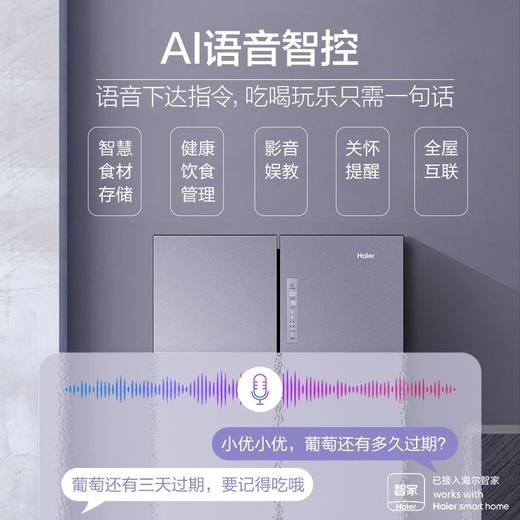 海尔(Haier)656升十字对开多门冰箱智享系列双变频智能语音控制母婴三档变温阻氧干湿分储 BCD-656WGHTDV9N9U1 商品图1