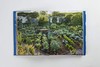 The Gardens of Bunny Mellon / 邦妮·梅隆的花园 景观园林设计 商品缩略图3