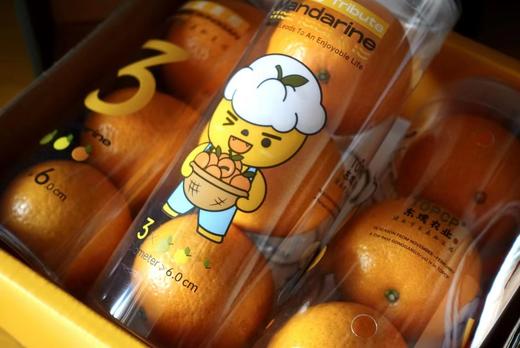 德庆贡柑   海外版【童趣3筒装】 商品图2