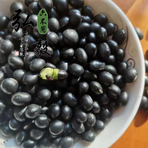 六不用 黑豆(绿心) 1斤/份 【弘毅六不用生态农场】 商品图0