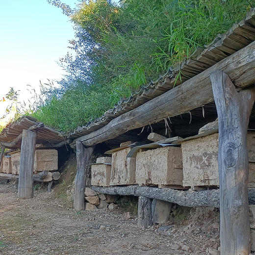 百里坡野花蜜 商品图4