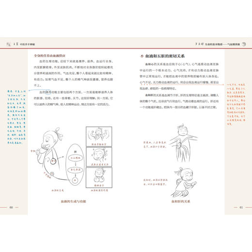 零基础学中医（第二版） 商品图7