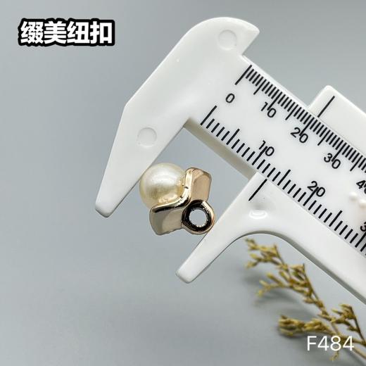 F484(整包购买) 商品图4