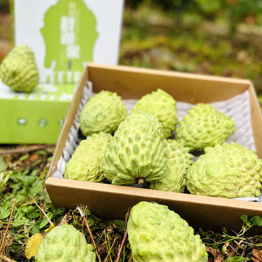 『攀枝花凤梨释迦果』纯甜肉厚 嫩滑雪白 商品图10