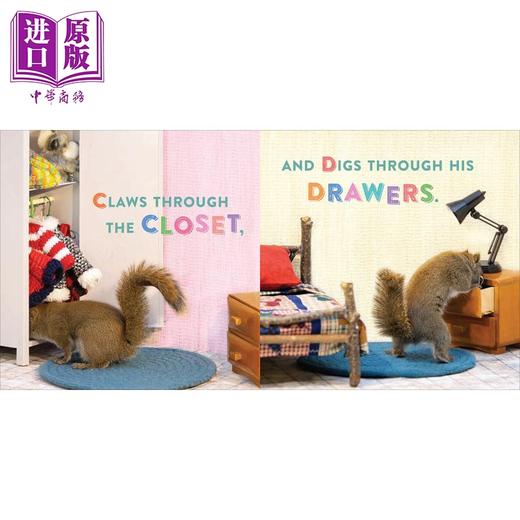 【中商原版】Oakley the Squirrel The Search for Z 小松鼠奥克利 寻找Z的故事 奥克利松鼠系列 婴幼儿字母纸板书 英文原版 商品图3