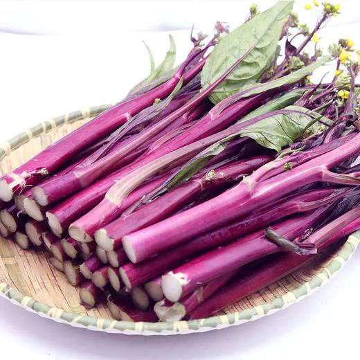 【严选】狮山新鲜红菜苔4斤包邮（基地直发） 商品图1
