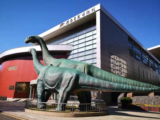 【河南自博-研学】2022暑假恐龙科学营（托管） 商品图1