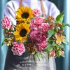 【一路生花】向日葵2 笑颜康6 棉花橙小雏菊3 橙色水仙百合3 玫红麦秆菊2（王嘻嘻设计） 商品缩略图0