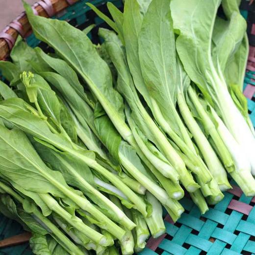 【严选】狮山新鲜白菜苔4斤（基地直发） 商品图2