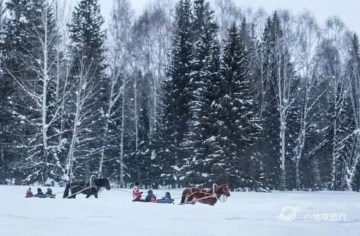 新疆喀纳斯“雪国奇遇” 7天6晚 商品图0