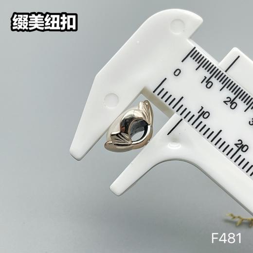 F481(整包购买) 商品图5