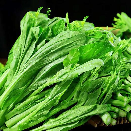 【严选】狮山新鲜白菜苔4斤（基地直发） 商品图5