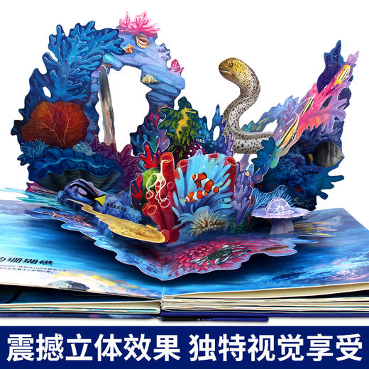 探秘海洋 3D立体翻翻书 商品图1