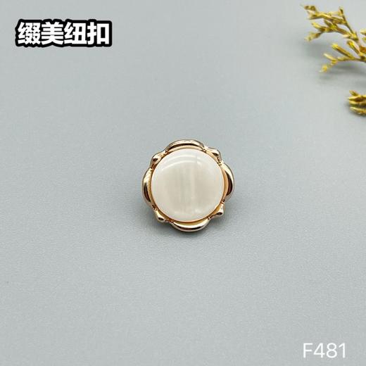 F481(整包购买) 商品图1